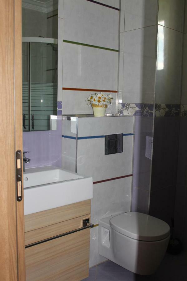 Vila Ramona Otopeni Extérieur photo