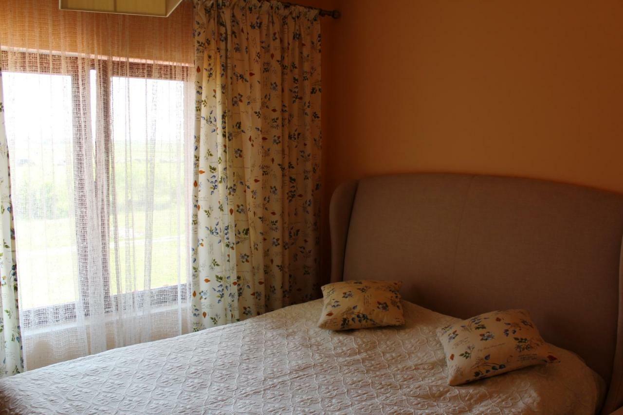 Vila Ramona Otopeni Extérieur photo
